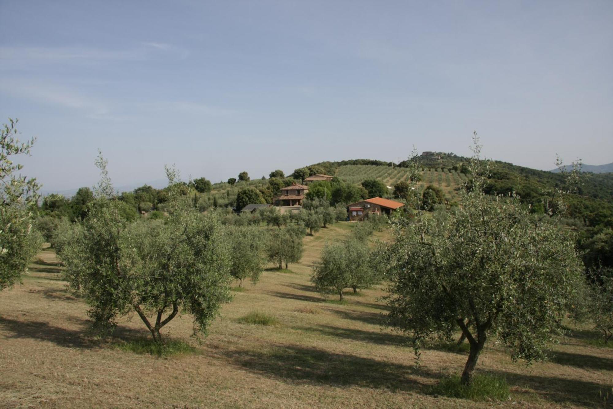 The Country House Montali Tavernelle  ภายนอก รูปภาพ